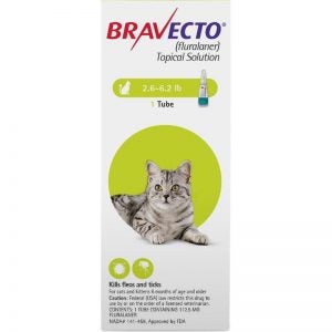 bravecto topical solution for cats