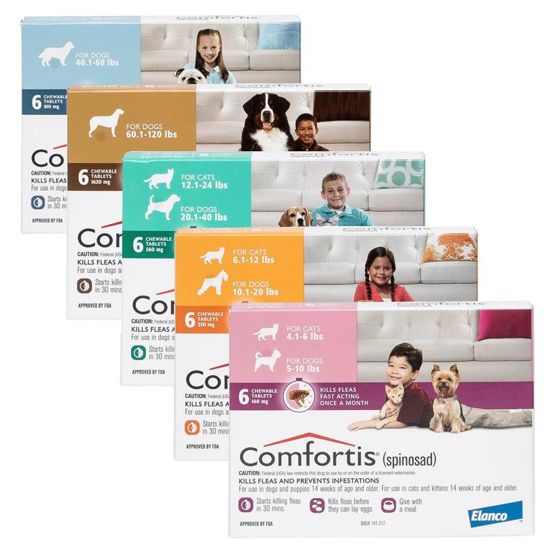 Definitive Guide Flea Control for Cats Allivet Pet Care Blog