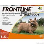 frontline plus for dogs