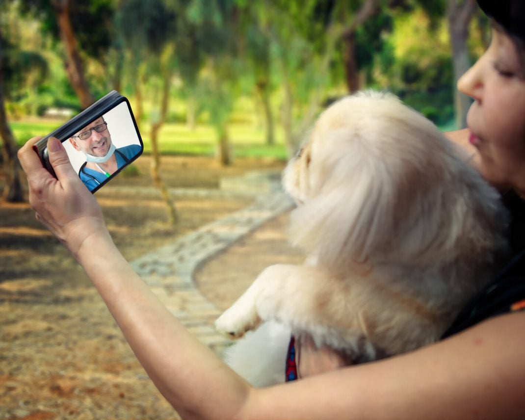 Veterinary Telehealth A New Way to Care for Your Pet Allivet Pet