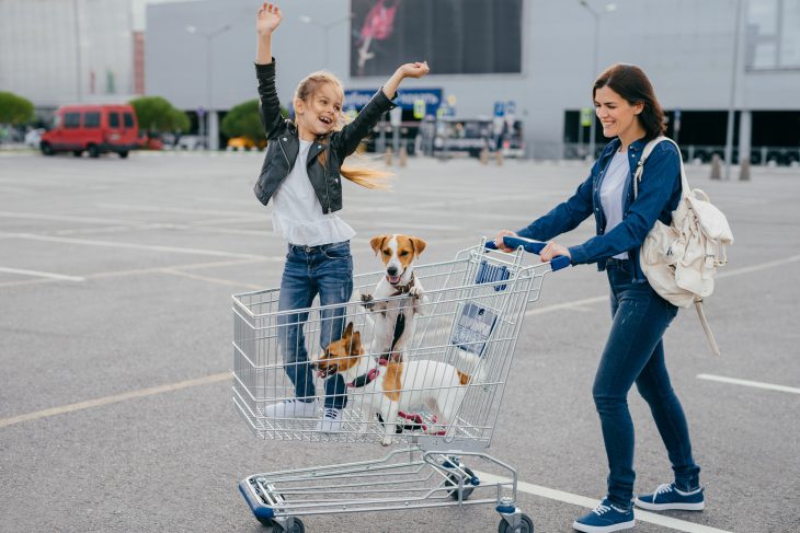 Mother pushing shopping cart with little girl and two dogs