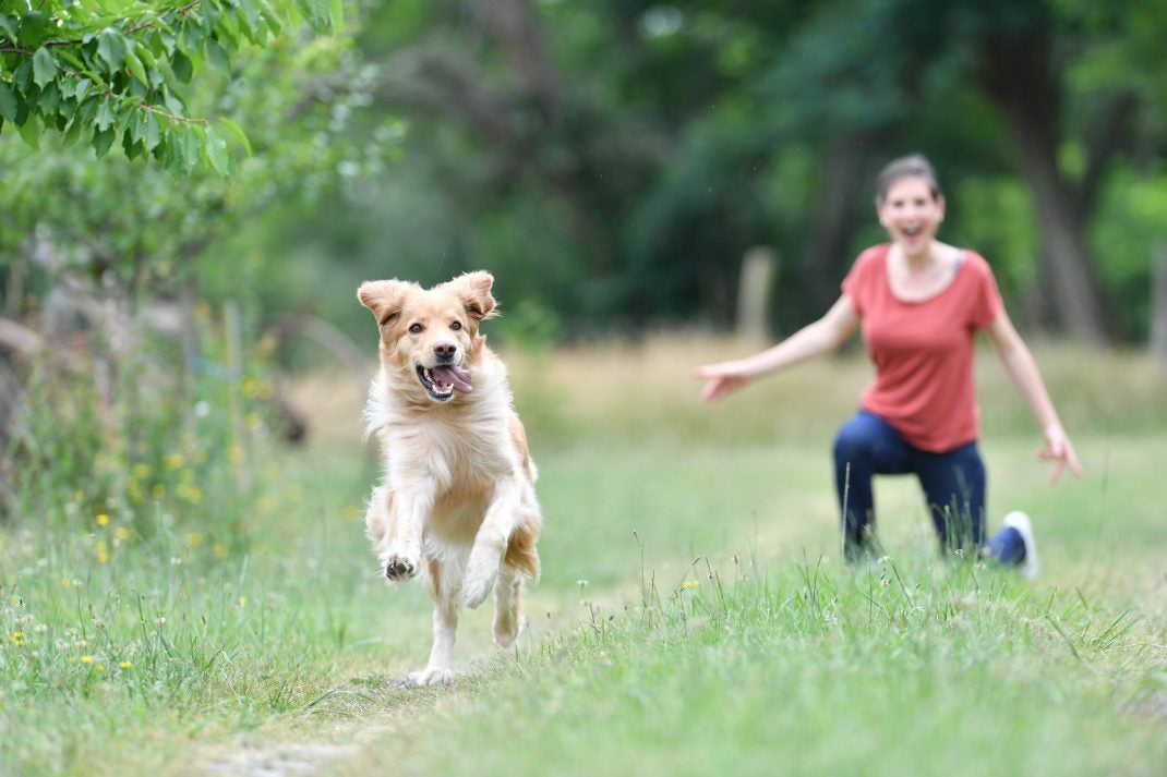 Woman chasing dog on a hiking trail