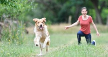 Woman chasing dog on a hiking trail