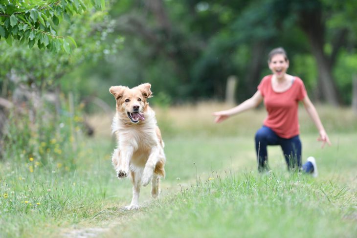 Woman chasing dog on a hiking trail
