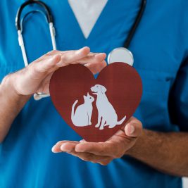 vet holding red heart cutout with image of dog and cat