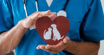 vet holding red heart cutout with image of dog and cat