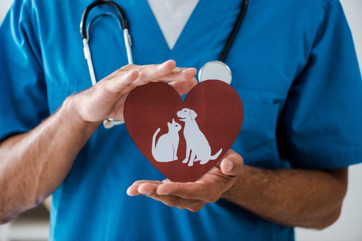 vet holding red heart cutout with image of dog and cat