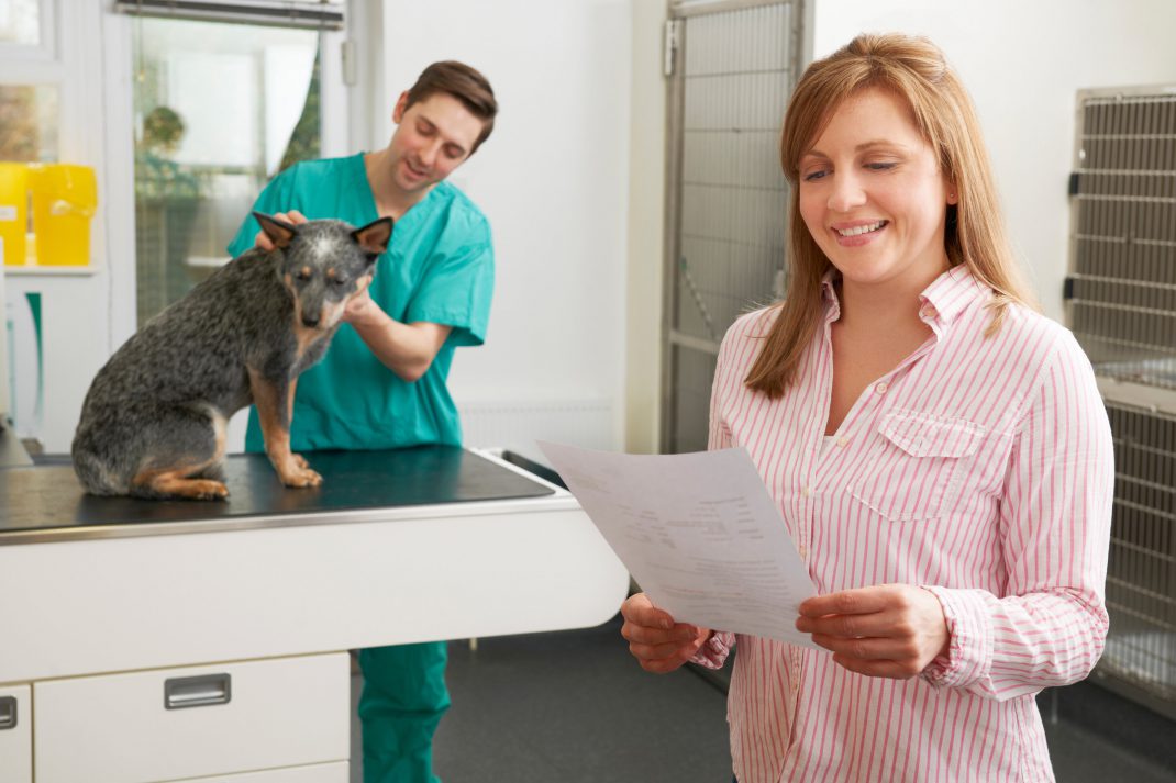 Woman and dog at vet office looking at bill