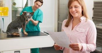 Woman and dog at vet office looking at bill