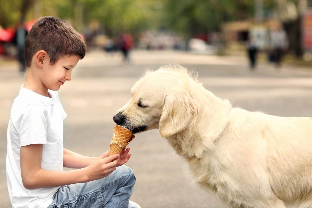 PetFriendly Ice Cream Shops in Every State! Allivet Pet Care Blog
