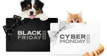 Dog and cat with Black Friday and Cyber Monday Signs