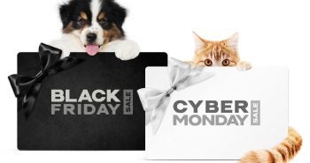 Dog and cat with Black Friday and Cyber Monday Signs
