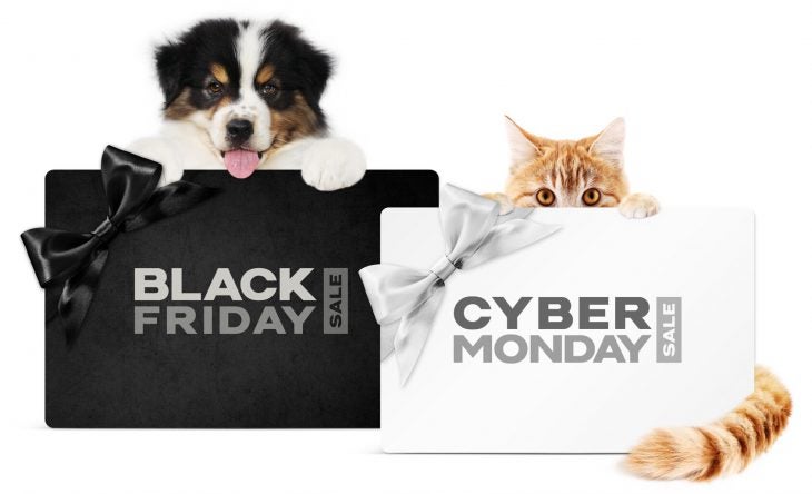 Dog and cat with Black Friday and Cyber Monday Signs