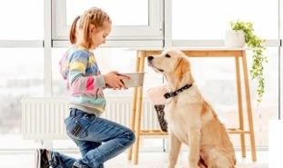 Girl giving a bowl of food to her yellow dog.