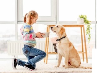 Girl giving a bowl of food to her yellow dog.
