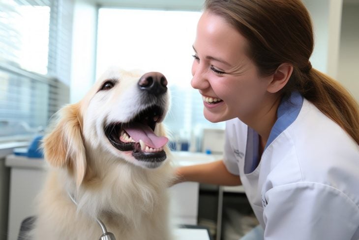 Vet petting a yellow dog.