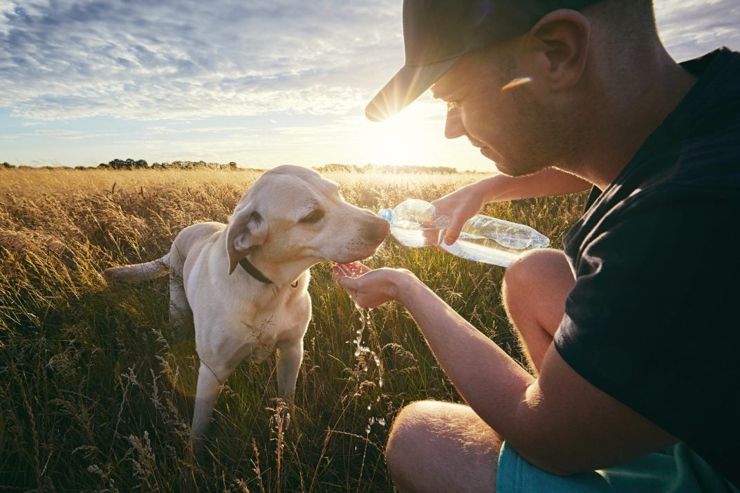 Man giving his dog water from a bottle on a sunny day.