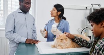 Man at vet with his cat