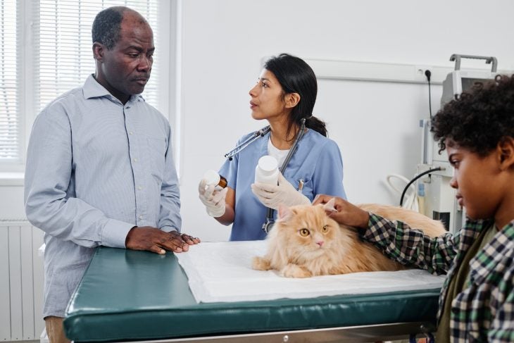 Man at vet with his cat
