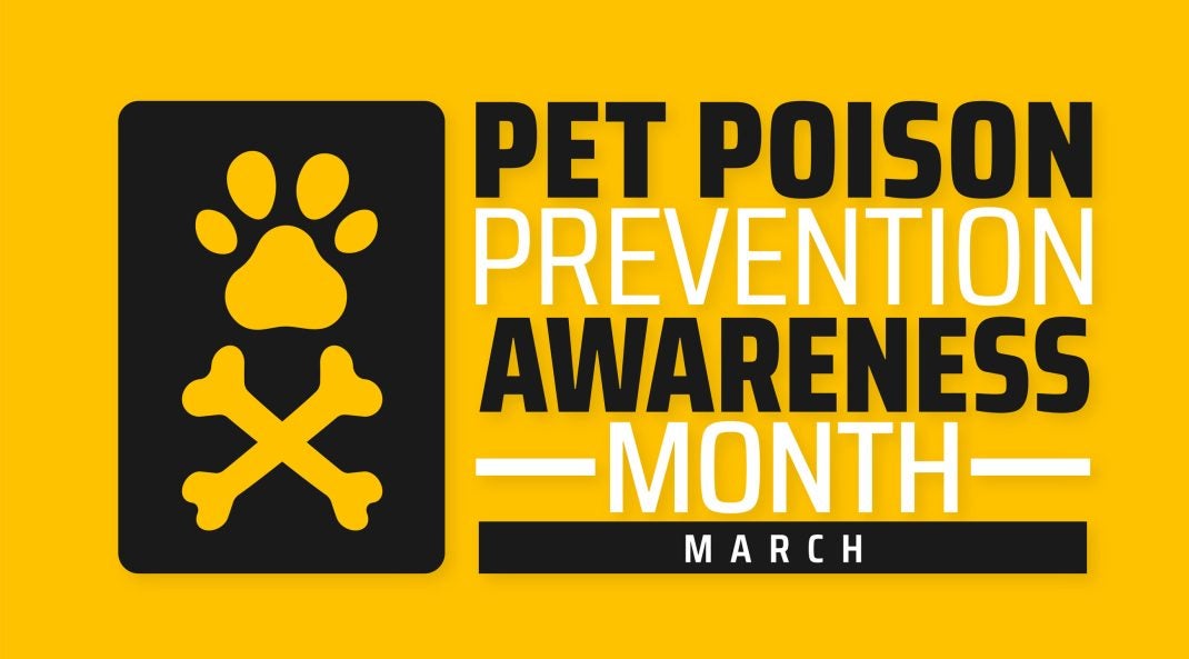 Pet Poison Awareness Month banner