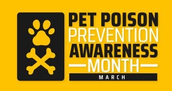 Pet Poison Awareness Month banner