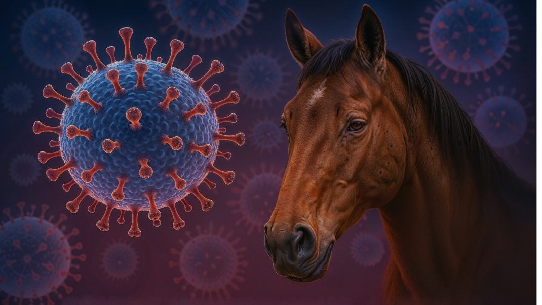 Horse with graphic of EHV-1 virus