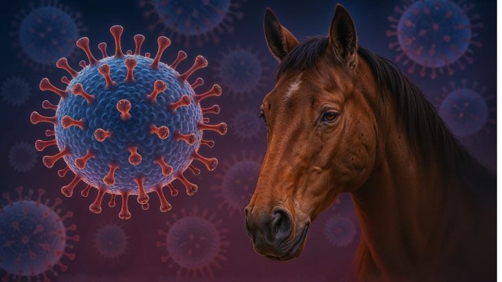 Horse with graphic of EHV-1 virus