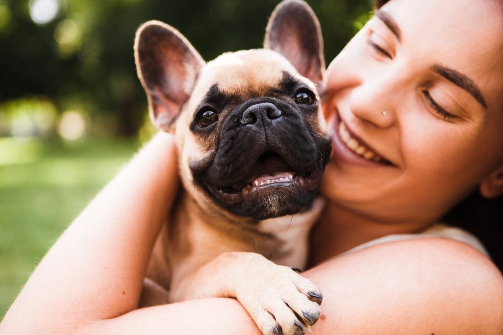 woman holding a brown French bulldog