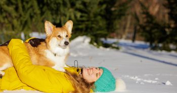 Corgi laying in the snow with owner
