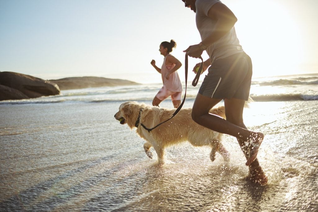 Couple running with their dog on the beach.