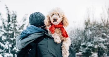 Pet parent carrying dog in the snow