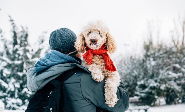 Pet parent carrying dog in the snow