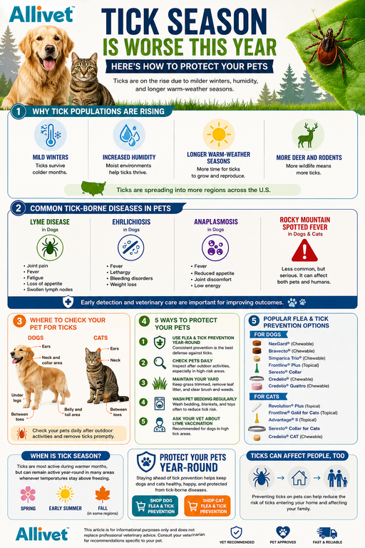 Infographic about flea and tick prevention