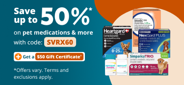 Save60RX