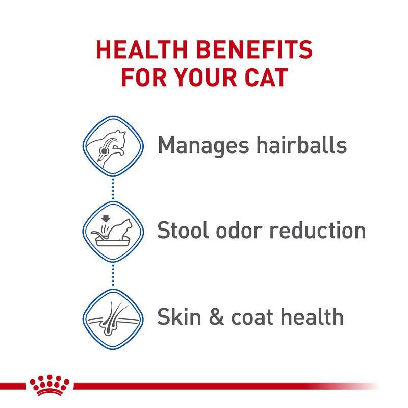 Royal Canin Feline Health Nutrition Indoor Long Hair Adult Dry Cat Food, 6 lb bag