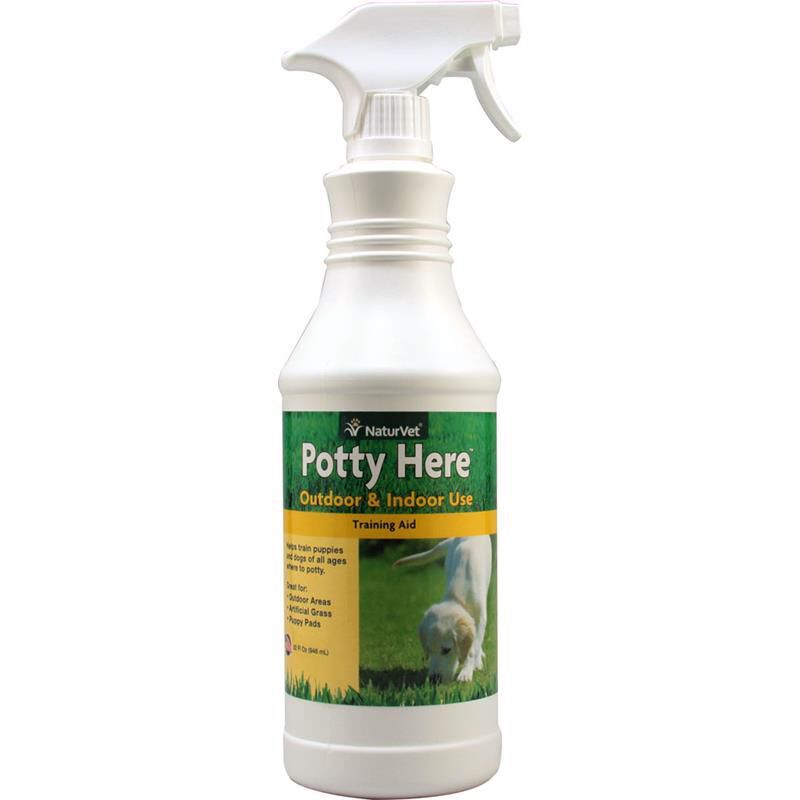 NaturVet Potty Here Training Aid Spray for Dogs Allivet