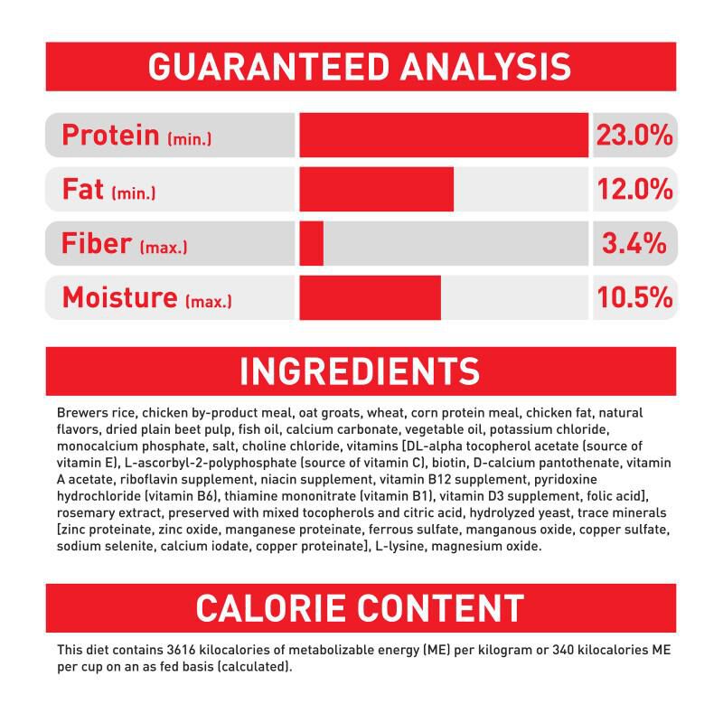 Royal Canin Size Health Nutrition Medium Adult Dry Dog Food, 40 lb bag