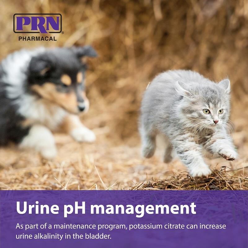 CitraVet (Potassium Citrate) Supplements Allivet