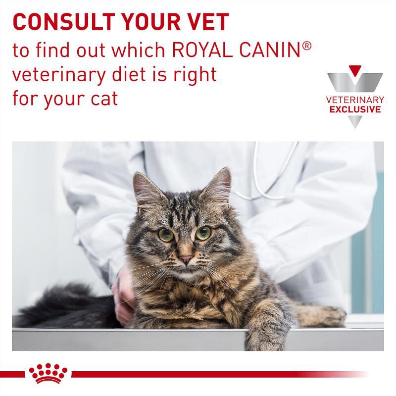 Royal Canin Veterinary Diet Adult Gastrointestinal Dry Cat Food, 8.8 lb bag