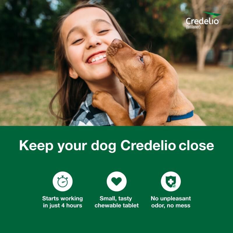 Credelio Flea & Tick Chewable Pills for Dogs & Puppies