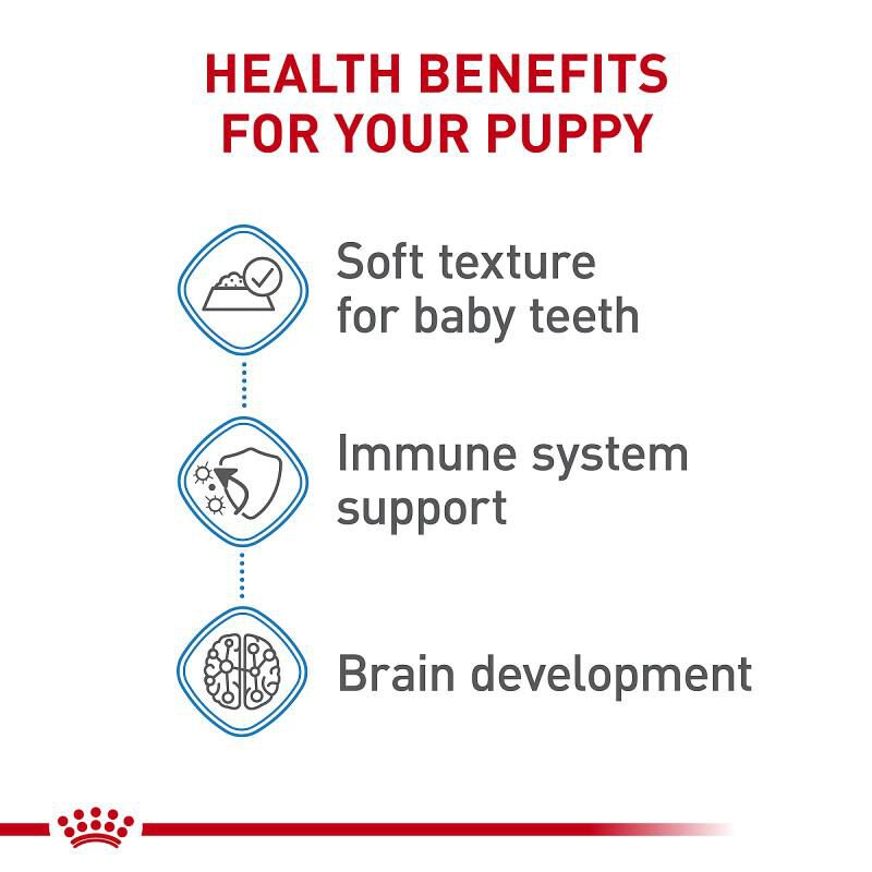 Royal Canin Size Health Nutrition Small Puppy Thin Slices in Gravy Canned Food, 24 x 5.1 oz cans