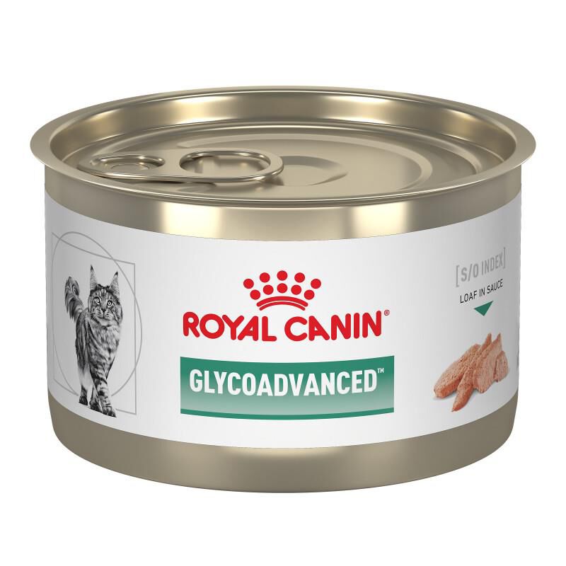 Royal Canin Veterinary Diet Glycoadvanced Canned Food for Diabetic Adult Cats, 24 x 5.1 oz cans
