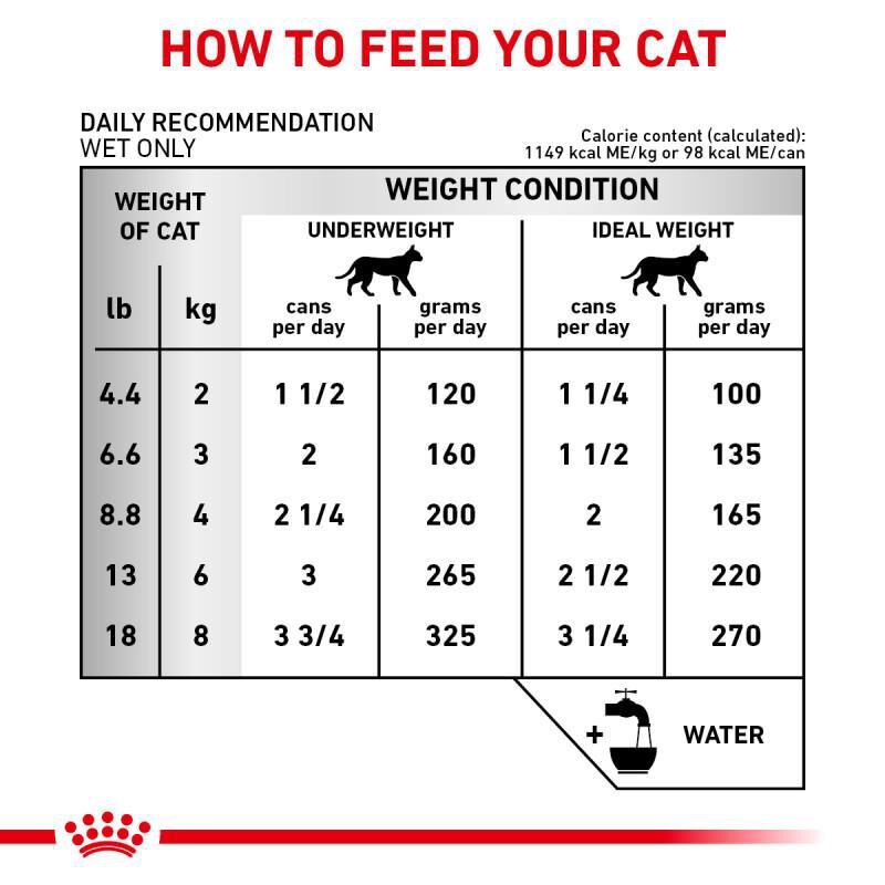 Royal Canin Veterinary Diet Adult Renal Support D Thin Slices in Gravy Canned Cat Food, 24 x 3 oz cans