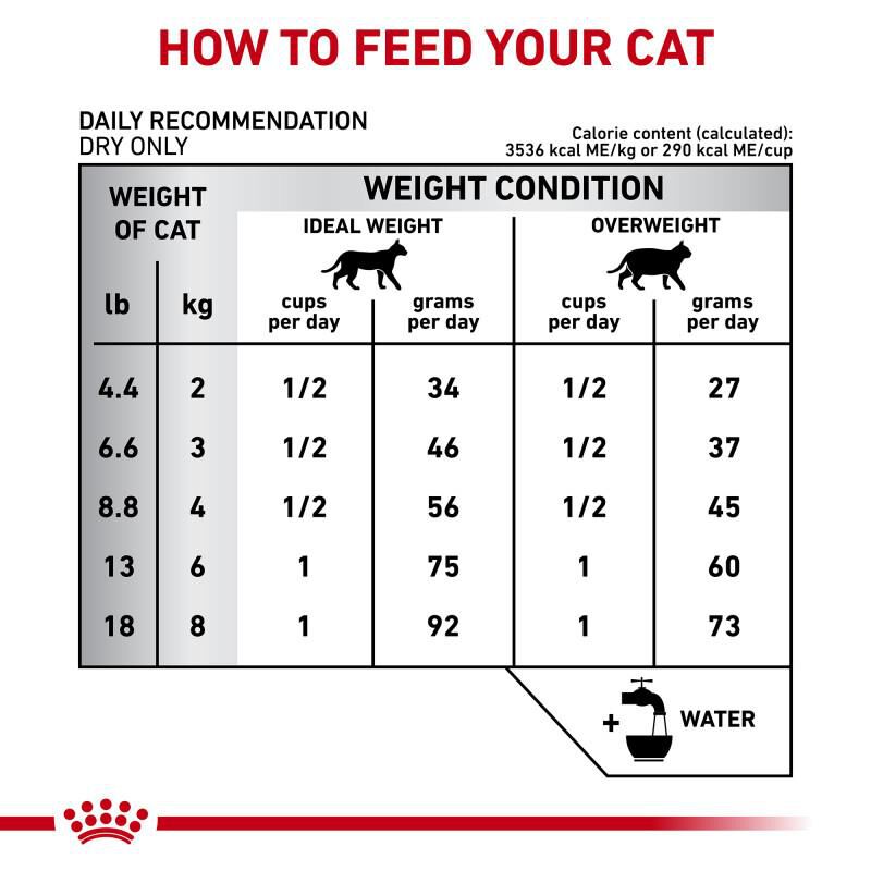 Royal Canin Veterinary Diet Adult Dental Dry Cat Food