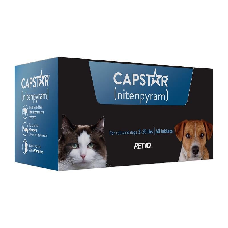 Capstar Dogs & Cats 2-25 lbs 60 Ct. Blue