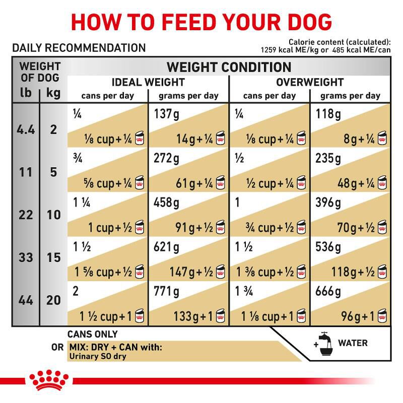 Royal Canin Veterinary Diet Adult Urinary SO Moderate Calorie Thin Slices in Gravy Canned Dog Food, 12 x 12.5 oz cans