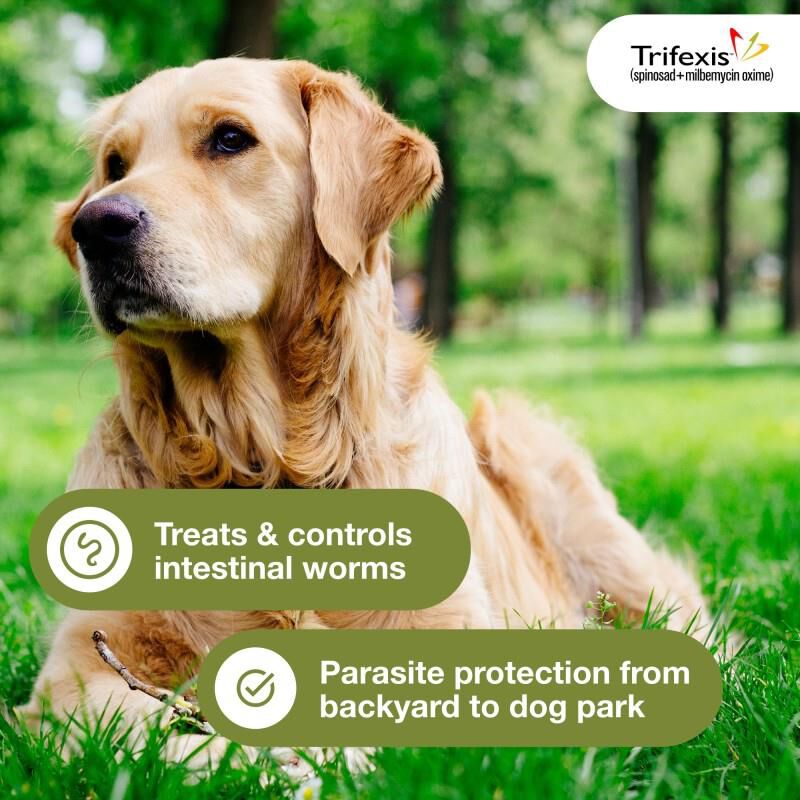 Trifexis Chewable Tablets for Dogs 40.1-60 lbs Blue, 3 Month Supply