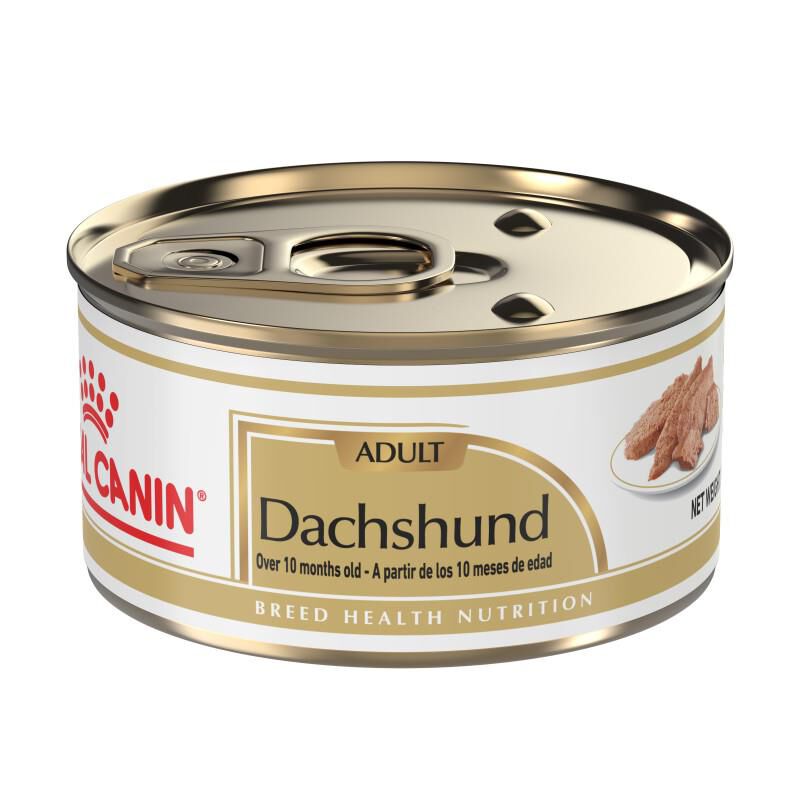 Royal Canin Breed Health Nutrition Adult Dachshund Loaf in Sauce Canned Dog Food, 24 x 3 oz cans