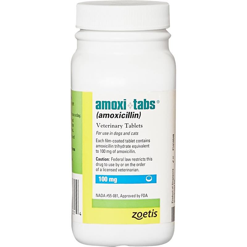 Amoxi-Tabs (Amoxicillin) for Dogs & Cats, 100 mg 1 Tablet