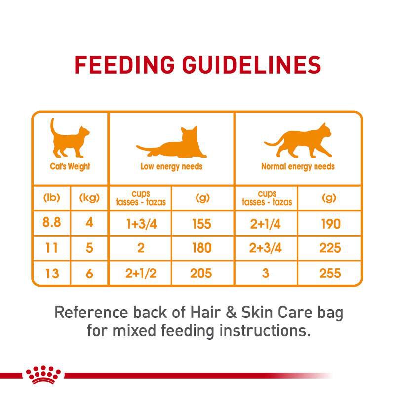 Royal Canin Feline Care Nutrition Adult Hair & Skin Care Loaf in Sauce Canned Cat Food, 24 x 5.1 oz cans